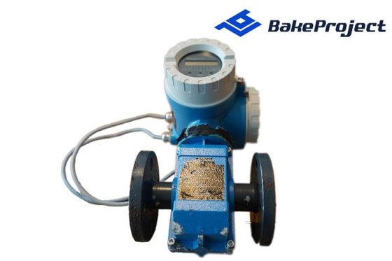 ENDRESS+HAUSER PROMAG F (photo 1 of 8)